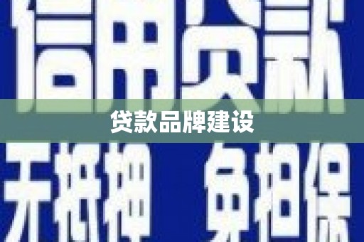 囊谦贷款品牌建设