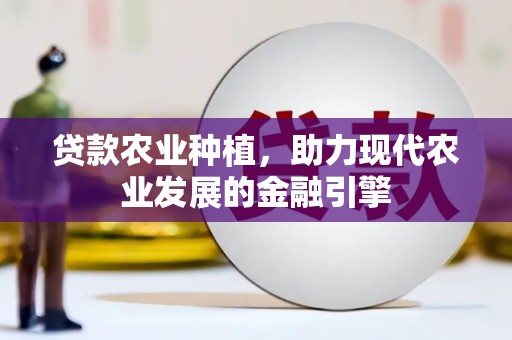 囊谦贷款农业种植，助力现代农业发展的金融引擎
