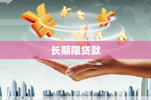 囊谦长期限贷款