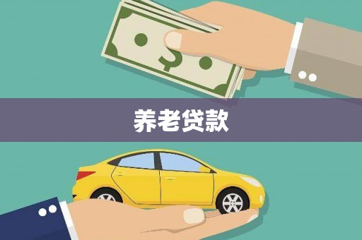 囊谦养老贷款