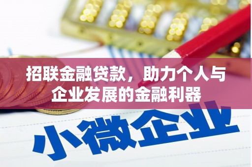 囊谦招联金融贷款，助力个人与企业发展的金融利器