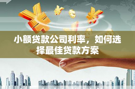 囊谦小额贷款公司利率，如何选择最佳贷款方案