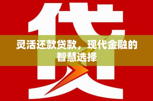 囊谦灵活还款贷款，现代金融的智慧选择