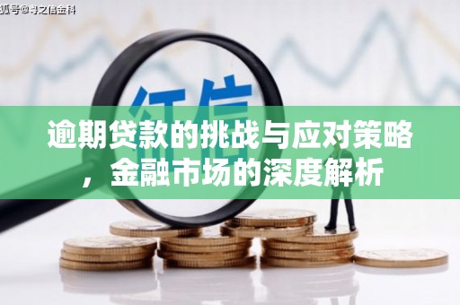 囊谦逾期贷款的挑战与应对策略，金融市场的深度解析