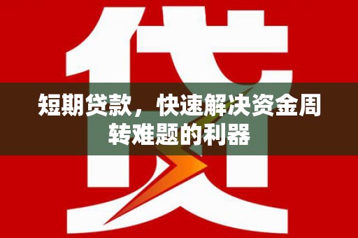 囊谦短期贷款，快速解决资金周转难题的利器