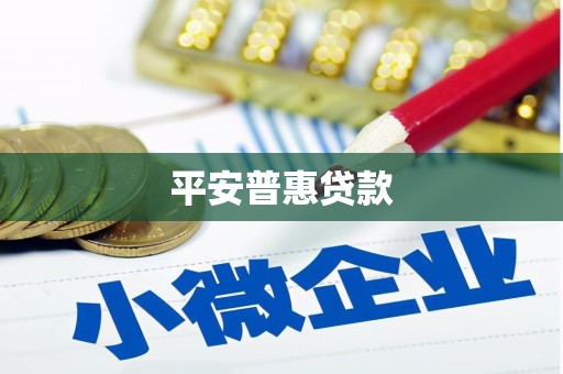 囊谦平安普惠贷款
