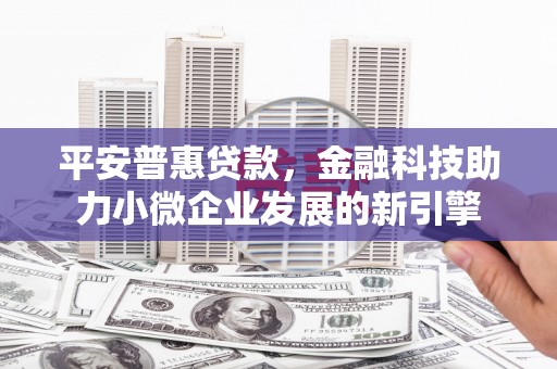 囊谦平安普惠贷款，金融科技助力小微企业发展的新引擎