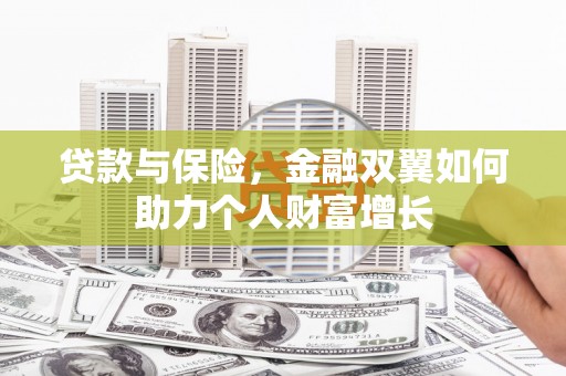 囊谦贷款与保险，金融双翼如何助力个人财富增长