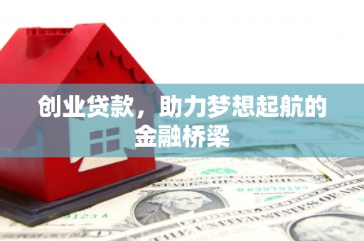 囊谦创业贷款，助力梦想起航的金融桥梁