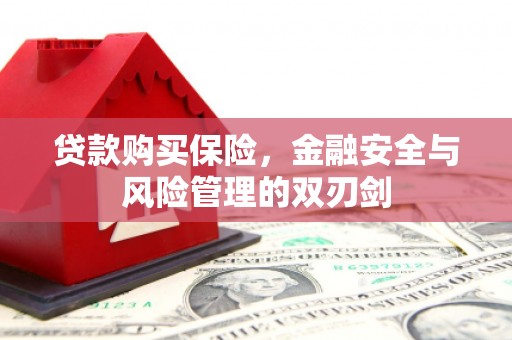 囊谦贷款购买保险，金融安全与风险管理的双刃剑