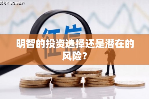 囊谦明智的投资选择还是潜在的风险？