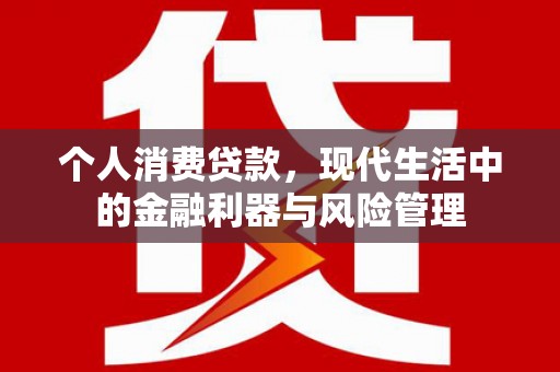 囊谦个人消费贷款，现代生活中的金融利器与风险管理
