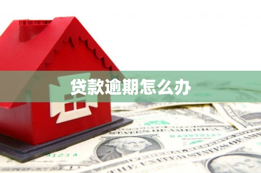 囊谦贷款逾期怎么办