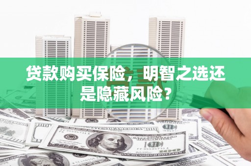 囊谦贷款购买保险，明智之选还是隐藏风险？