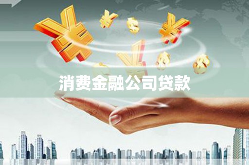 囊谦消费金融公司贷款