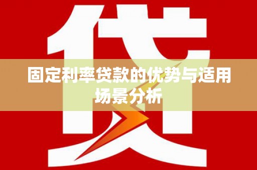 囊谦固定利率贷款的优势与适用场景分析
