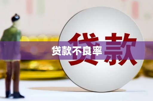 囊谦贷款不良率