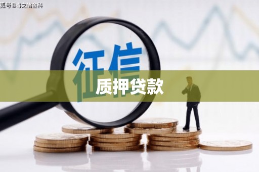 囊谦质押贷款