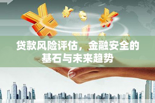囊谦贷款风险评估，金融安全的基石与未来趋势