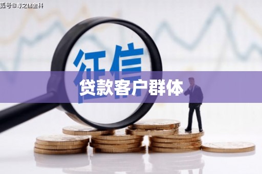 囊谦贷款客户群体