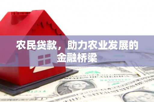 囊谦农民贷款，助力农业发展的金融桥梁
