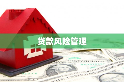 囊谦贷款风险管理