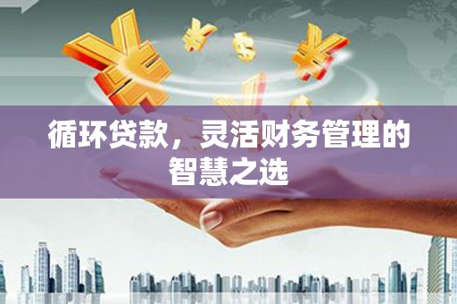囊谦循环贷款，灵活财务管理的智慧之选