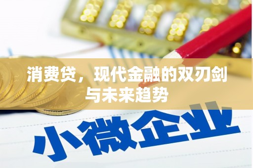 囊谦消费贷，现代金融的双刃剑与未来趋势
