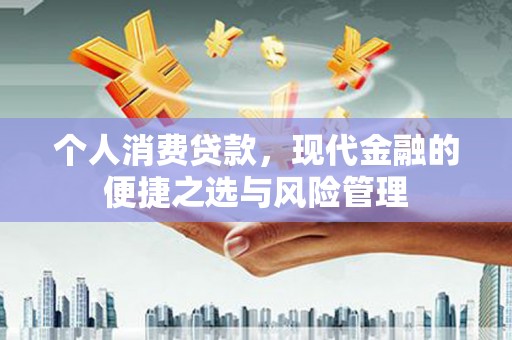 囊谦个人消费贷款，现代金融的便捷之选与风险管理