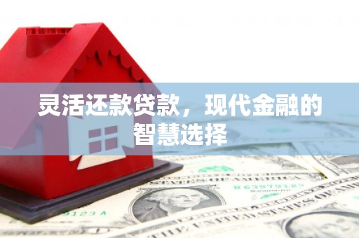 囊谦灵活还款贷款，现代金融的智慧选择