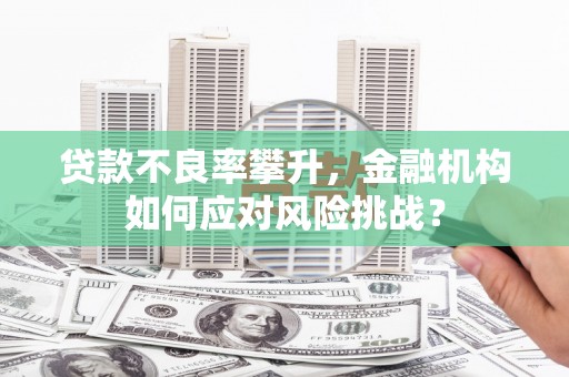 囊谦贷款不良率攀升，金融机构如何应对风险挑战？