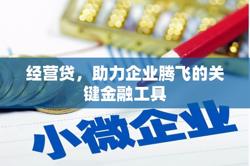 囊谦经营贷，助力企业腾飞的关键金融工具