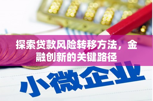 囊谦探索贷款风险转移方法，金融创新的关键路径