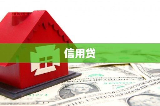 囊谦信用贷