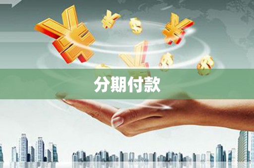 囊谦分期付款