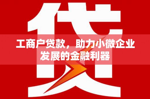 囊谦工商户贷款，助力小微企业发展的金融利器