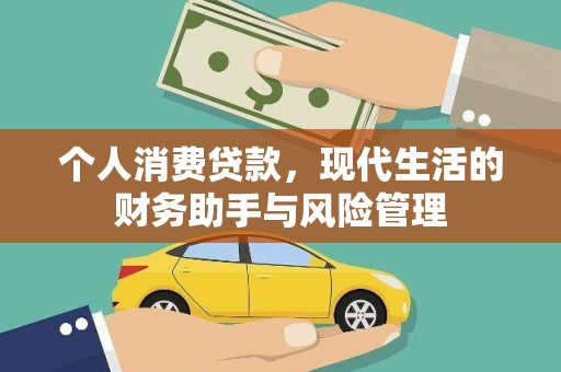 囊谦个人消费贷款，现代生活的财务助手与风险管理