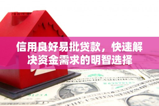 囊谦信用良好易批贷款，快速解决资金需求的明智选择