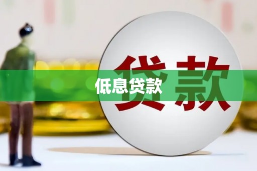 囊谦低息贷款