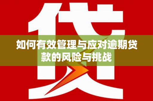 囊谦如何有效管理与应对逾期贷款的风险与挑战