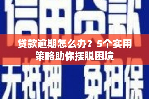 囊谦贷款逾期怎么办？5个实用策略助你摆脱困境