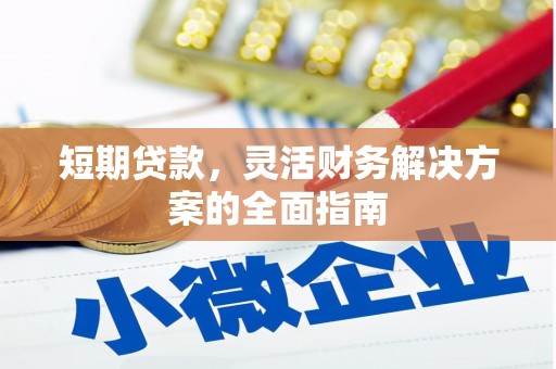 囊谦短期贷款，灵活财务解决方案的全面指南