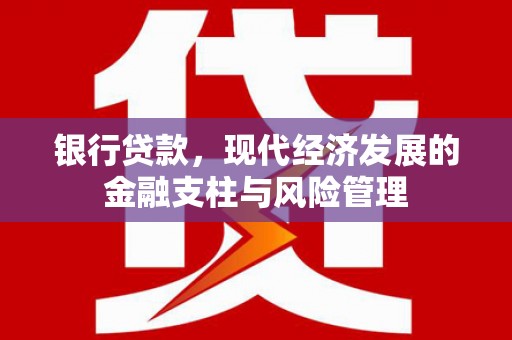 囊谦银行贷款，现代经济发展的金融支柱与风险管理