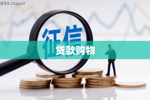 囊谦贷款购物