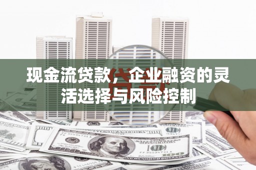 囊谦现金流贷款，企业融资的灵活选择与风险控制