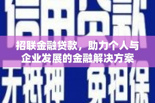 囊谦招联金融贷款，助力个人与企业发展的金融解决方案