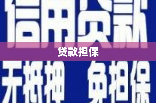 囊谦贷款担保