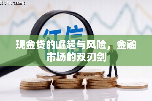 囊谦现金贷的崛起与风险，金融市场的双刃剑