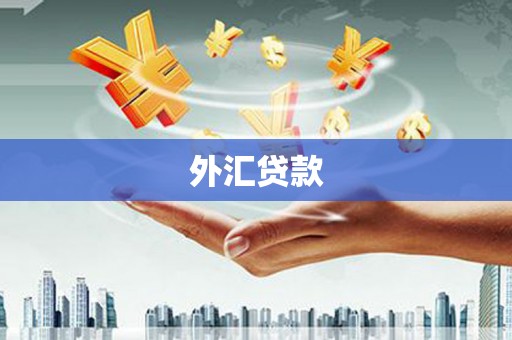囊谦外汇贷款