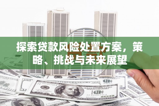 囊谦探索贷款风险处置方案，策略、挑战与未来展望
